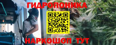 МДПВ Донецк
