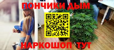 Альфа ПВП Дубна