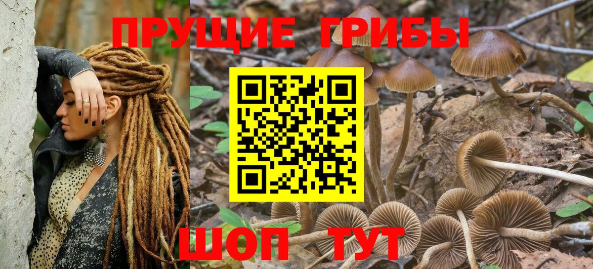 Верхний Уфалей  Псилоцибиновые грибы Psilocybine cubensis  Галлюциногенные грибы ЛСД  Вход с VPN 